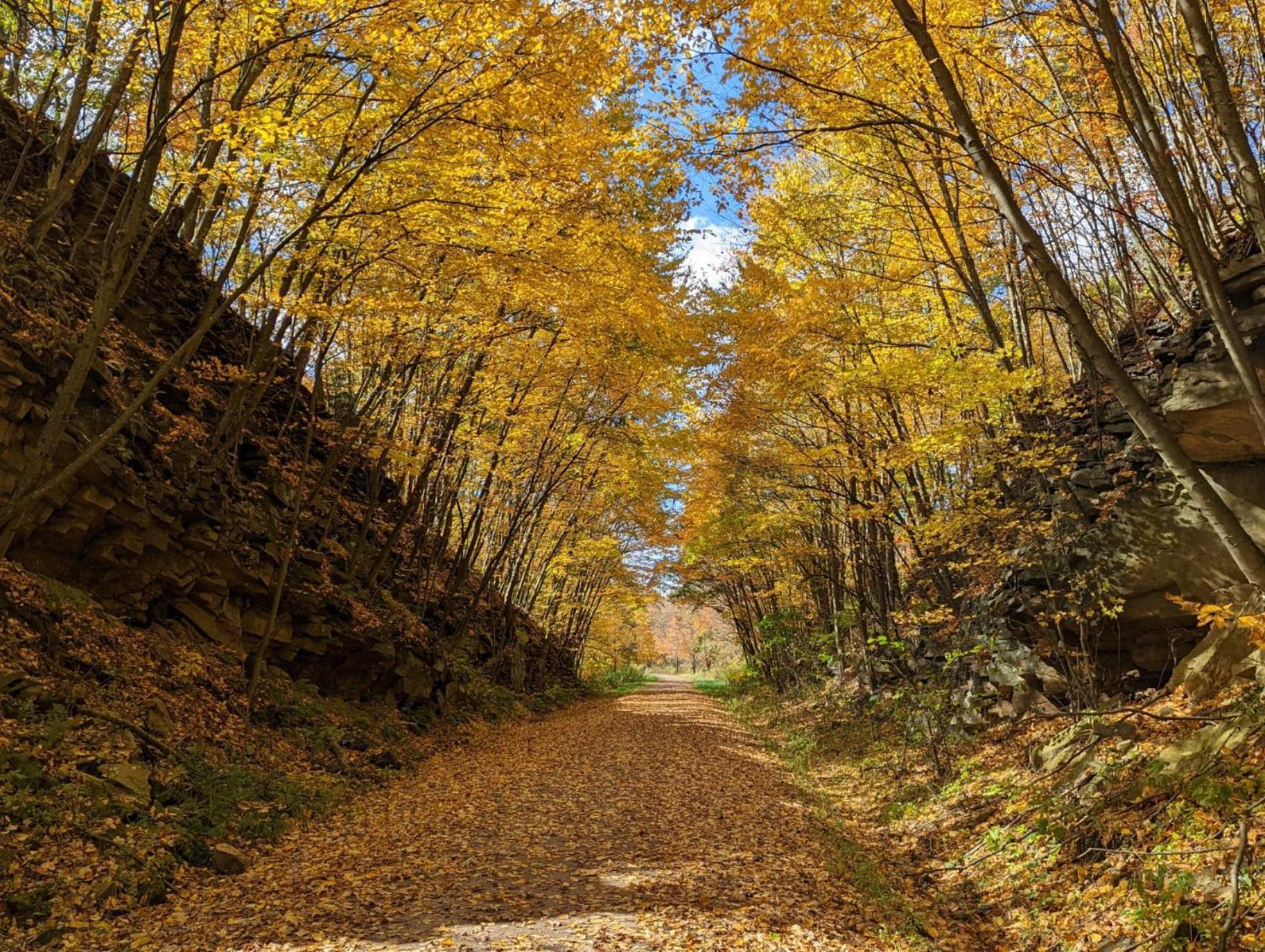 Stay In Ohiopyle In The Center Of It All, Ohiopyle, Pa Bagian luar foto